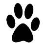 Favicon for WebPaws.com