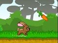 Fluffy Runner played 185 times to date.  Food is fuel, and this running bunny&rsquo;s got a fire in his belly!