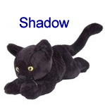 Shadow Mad Lib