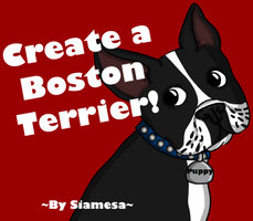 Boston Terrier played 3,435 times to date. Create your small and cute Boston Terrier!