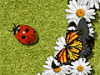 Bug Off played 1,751 times to date. The butterfly moves with your mouse, use it to herd the ladybugs to eat the aphids and return to the hole.
