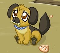 Cute Puppy Creator played 841 times to date. Customize and dress up the cute little puppy for three occasions: a trip to the beach, relaxing at home and frolicking in the snow. Make sure to try all the buttons, you can customize every part of the puppy!