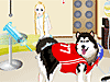 Dogs at the Vet Dress Up played 3,843 times to date. This is a really fun game.  Play It!