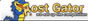 Teamed up with Host Gator Hosting Services