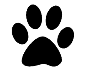 WebPaws